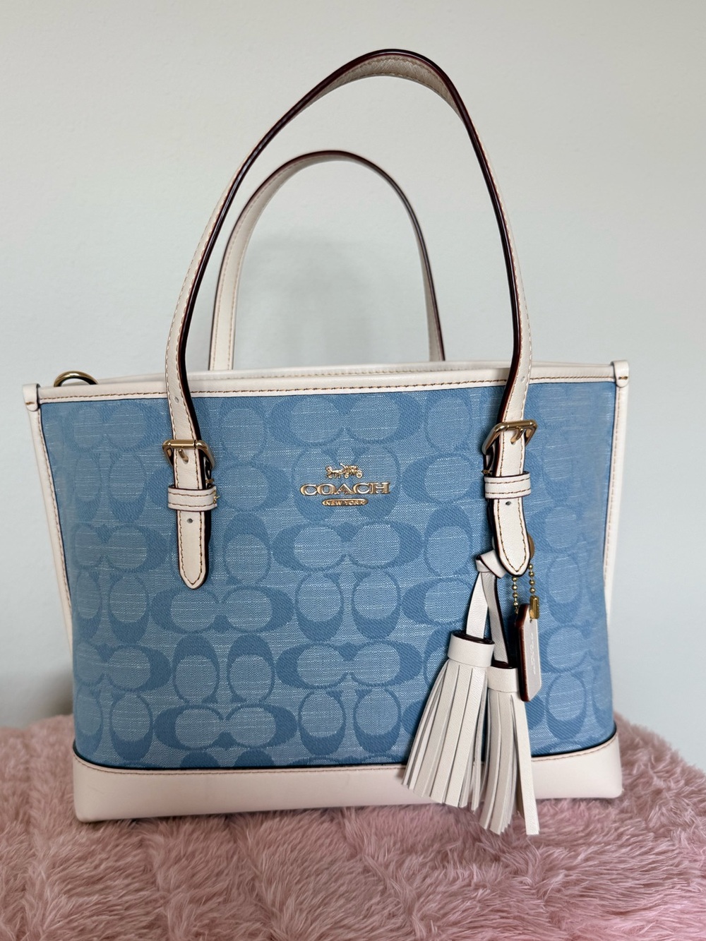 Coach Mollie Tote 25 in Blue Denim